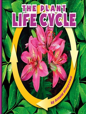 cover image of The Plant Life Cycle